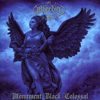 A shadow in the garden of darkness - Netherbird