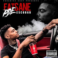 Perfect Timing - PDE ESCOBAR, HoodRich Pablo Juan