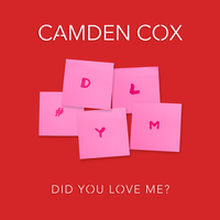 Did You Love Me? - Camden Cox