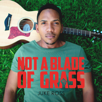 Not a Blade of Grass - JUKE ROSS
