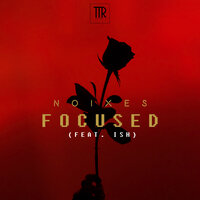 Focused - NOIXES, Ish