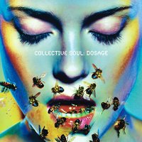 Generate - Collective Soul