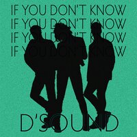 If You Don't Know - D'Sound