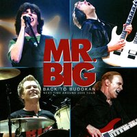 Shy Boy - Mr. Big