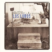 Saint Behind the Glass - Los Lobos