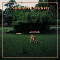 Summer Playlists - Asoh Black!, SWELL