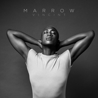 Marrow - Vincint