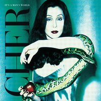 I Wouldn't Treat a Dog (The Way You Treated Me) - Cher