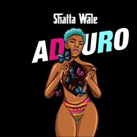 Aduro - Shatta Wale