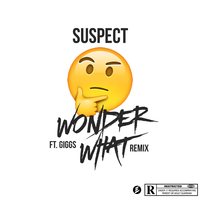 Wonder What?! - Suspect, Giggs