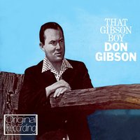 Won't 'Cha Come Back to Me - Don Gibson