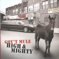 So Weak, So Strong - Gov't Mule