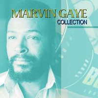 Joy - Marvin Gaye