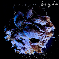 Back to Believing - Bryde