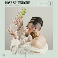 Rosa splendore - Splendore, Populous