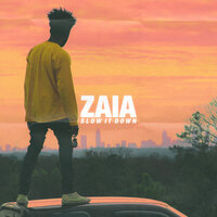Slow It Down - Zaia