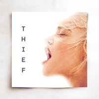 Thief - Alice Chater