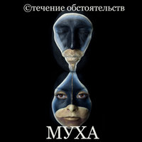 Не тормози - Муха