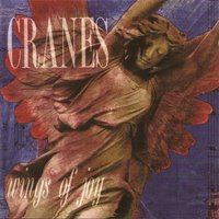 Thursday - Cranes