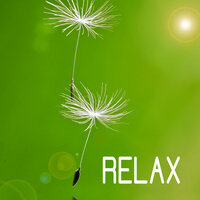 Soothing Songs - Relax