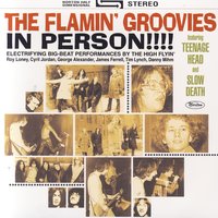 Have You Seen My Baby - Flamin' Groovies