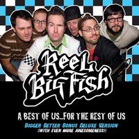New Version Of You (Best Of) - Reel Big Fish