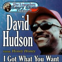 Honey Honey - David Hudson