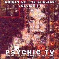 Intoxication - Psychic TV