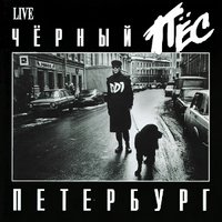 Чёрный пёс Петербург - ДДТ