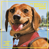 Fanny Dog (Royal) - Ty Segall