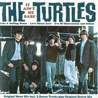 Let The Cold Wind Blow - The Turtles