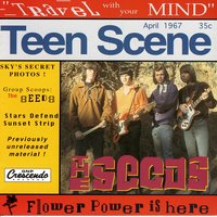 The Wind Blows Your Hair - The Seeds