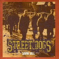 Don't Preach To Me - Street Dogs