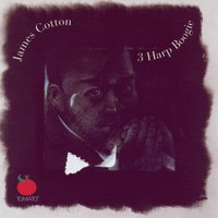 There's Something On Your Mind - James Cotton