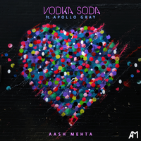 Vodka Soda - Aash Mehta, Apollo Gray
