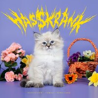 Hasskrank - Ruffiction, Tamas, Zero