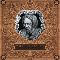 Pretend I Never Happened - Willie Nelson