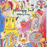 Longing For Ether - Saccharine Trust