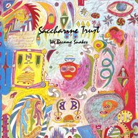 We Became Snakes - Saccharine Trust