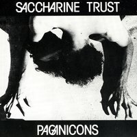 Mad at the Co. - Saccharine Trust