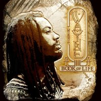 Book Of Life - I Wayne