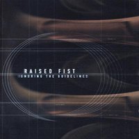 Different But The Same - Raised Fist