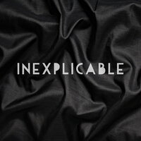 Inexplicable - The Correspondents