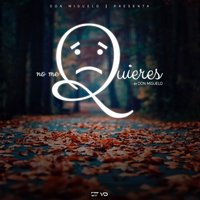 No Me Quieres - Don Miguelo