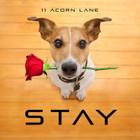 Stay - 11 Acorn Lane