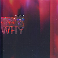 Why - Ali Gatie