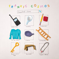 In the World - Frankie Cosmos