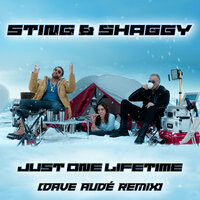Just One Lifetime - Sting, Shaggy, Dave Audé