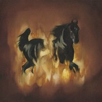 Rides The Rails - The Besnard Lakes