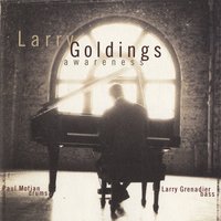 Embraceable You - Larry Goldings